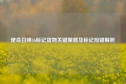 使命召唤16标记货物关键策略及标记按键解析
