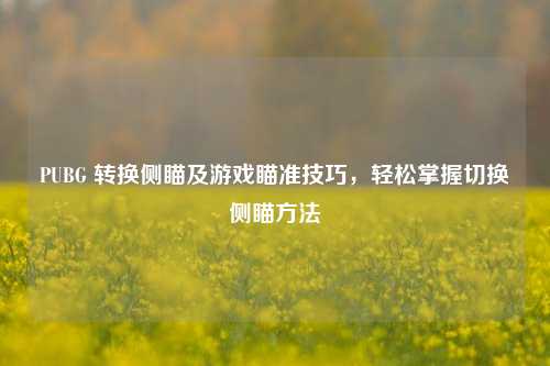 PUBG 转换侧瞄及游戏瞄准技巧,轻松掌握切换侧瞄 ***