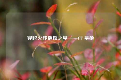 穿越火线璀璨之星——CF 星象