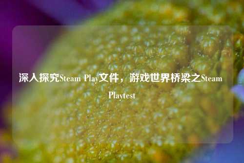 深入探究Steam Play文件,游戏世界桥梁之Steam Playtest