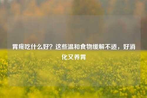 胃疼吃什么好?这些温和食物缓解不适,好消化又养胃