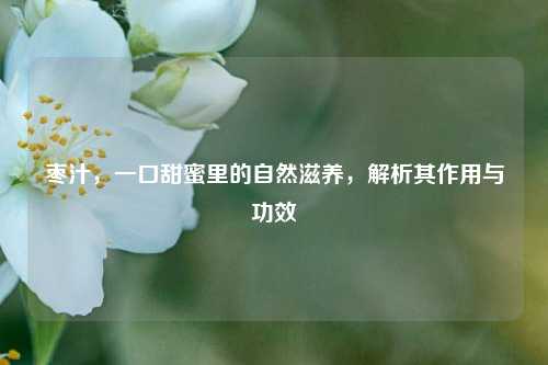 枣汁,一口甜蜜里的自然滋养,解析其作用与功效