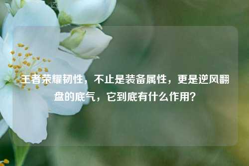 王者荣耀韧性,不止是装备属性,更是逆风翻盘的底气,它到底有什么作用?