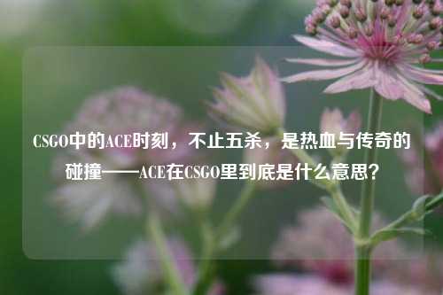 CSGO中的ACE时刻,不止五杀,是热血与传奇的碰撞——ACE在CSGO里到底是什么意思?