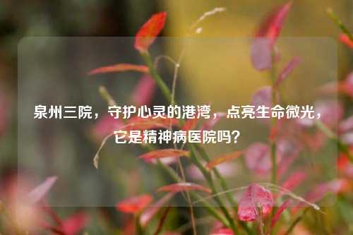 泉州三院,守护心灵的港湾,点亮生命微光,它是精神病医院吗?