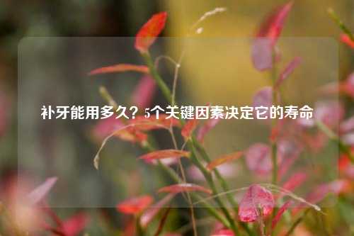 补牙能用多久?5个关键因素决定它的寿命