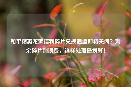和平精英龙狮福利碎片兑换通道即将关闭?剩余碎片别浪费,这样处理最划算!