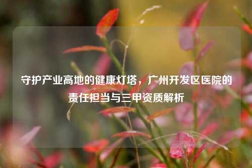 守护产业高地的健康灯塔,广州开发区医院的责任担当与三甲资质解析