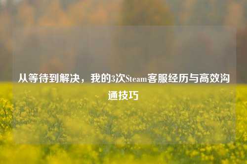 从等待到解决,我的3次Steam *** 经历与高效沟通技巧
