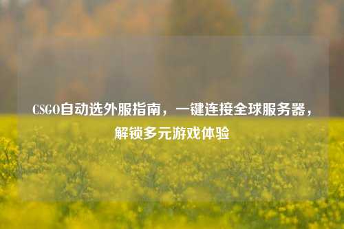 CSGO自动选外服指南,一键连接全球服务器,解锁多元游戏体验