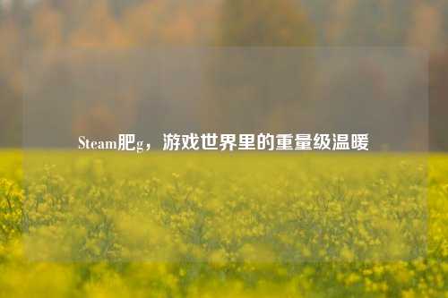 Steam肥g,游戏世界里的重量级温暖