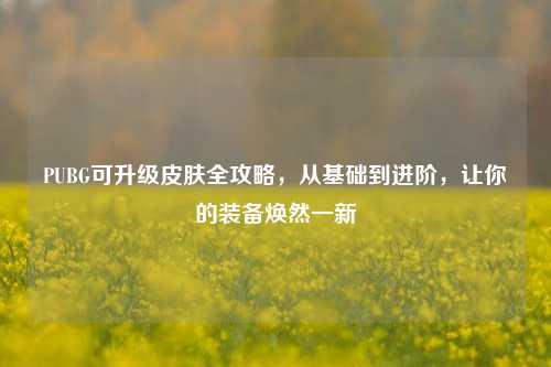 PUBG可升级皮肤全攻略,从基础到进阶,让你的装备焕然一新