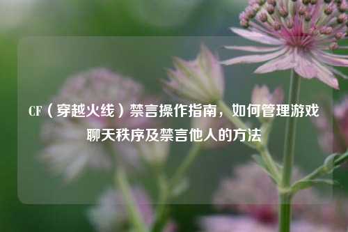 CF(穿越火线)禁言操作指南,如何管理游戏聊天秩序及禁言他人的 ***