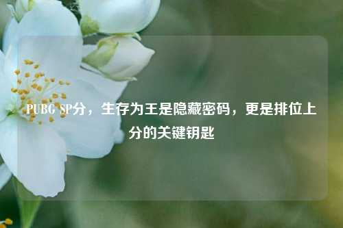 PUBG SP分,生存为王是隐藏密码,更是排位上分的关键钥匙