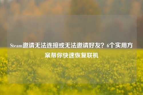 Steam邀请无法连接或无法邀请好友?6个实用方案帮你快速恢复联机