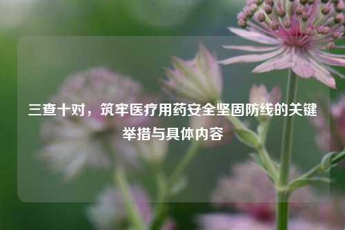 三查十对,筑牢医疗用药安全坚固防线的关键举措与具体内容