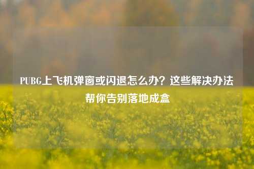 PUBG上飞机弹窗或闪退怎么办?这些解决办法帮你告别落地成盒
