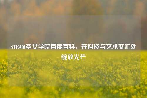 STEAM圣女学院百度百科,在科技与艺术交汇处绽放光芒