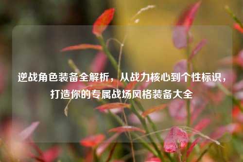 逆战角色装备全解析,从战力核心到个性标识,打造你的专属战场风格装备大全
