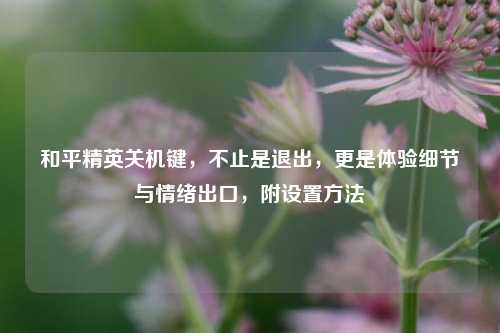 和平精英关机键,不止是退出,更是体验细节与情绪出口,附设置 ***