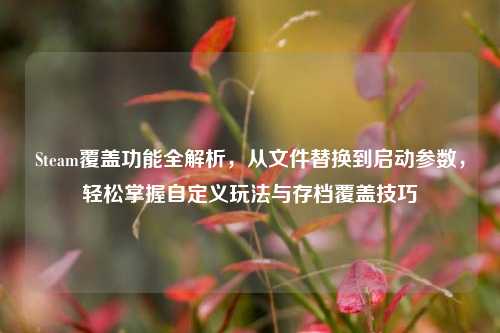 Steam覆盖功能全解析,从文件替换到启动参数,轻松掌握自定义玩法与存档覆盖技巧