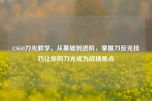 CSGO刀光教学,从基础到进阶,掌握刀反光技巧让你的刀光成为战场焦点