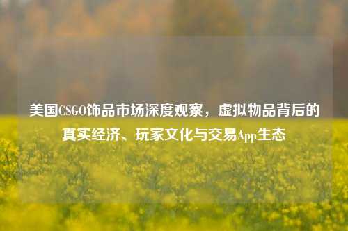 美国CSGO饰品市场深度观察,虚拟物品背后的真实经济、玩家文化与交易App生态