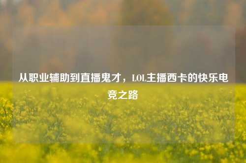 从职业辅助到直播鬼才,LOL主播西卡的快乐电竞之路