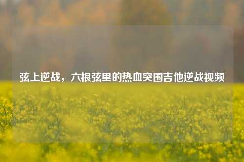 弦上逆战,六根弦里的热血突围吉他逆战视频