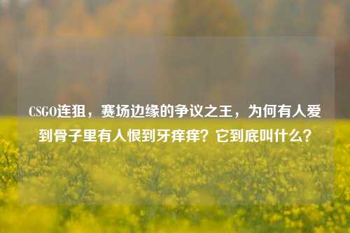 CSGO连狙,赛场边缘的争议之王,为何有人爱到骨子里有人恨到牙痒痒?它到底叫什么?