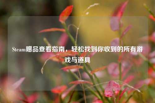 Steam赠品查看指南,轻松找到你收到的所有游戏与道具