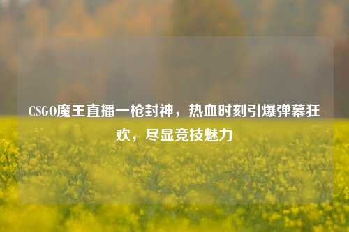 CSGO魔王直播一枪封神,热血时刻引爆弹幕狂欢,尽显竞技魅力