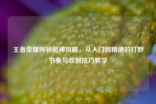王者荣耀阿轲超神攻略,从入门到精通的打野节奏与收割技巧教学