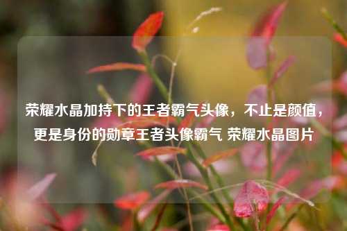 荣耀水晶加持下的王者霸气头像,不止是颜值,更是身份的勋章王者头像霸气 荣耀水晶图片