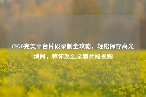 CSGO完美平台片段录制全攻略,轻松保存高光瞬间,教你怎么录制片段视频