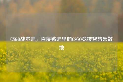CSGO战术吧,百度贴吧里的CSGO竞技智慧集散地