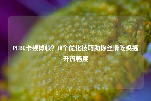 PUBG卡顿掉帧？10个优化技巧助你丝滑吃鸡提升流畅度
