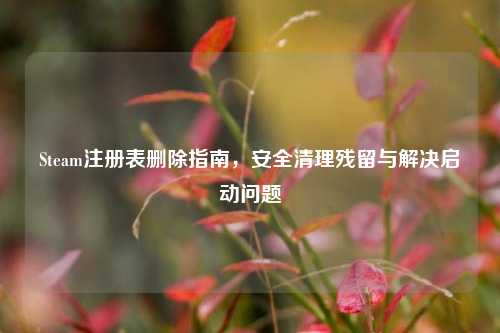 Steam注册表删除指南，安全清理残留与解决启动问题