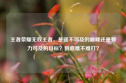 王者荣耀无双王者,是遥不可及的巅峰还是努力可及的目标?到底难不难打?