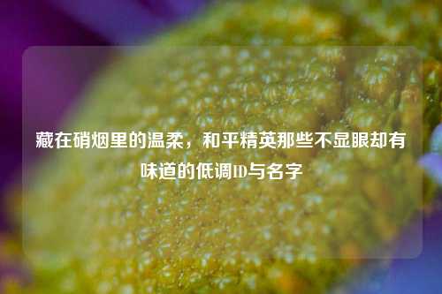 藏在硝烟里的温柔,和平精英那些不显眼却有味道的低调ID与名字