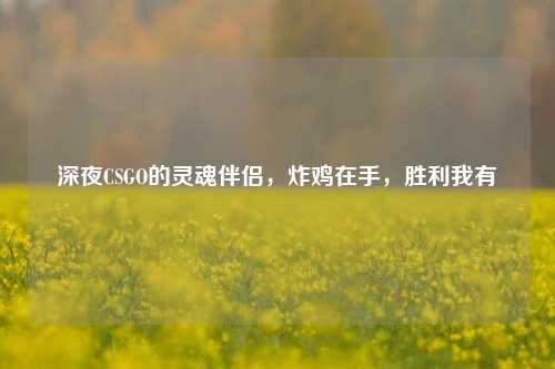 深夜CSGO的灵魂伴侣,炸鸡在手,胜利我有