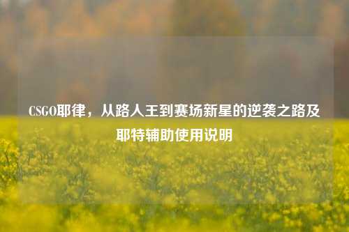 CSGO耶律,从路人王到赛场新星的逆袭之路及耶特辅助使用说明