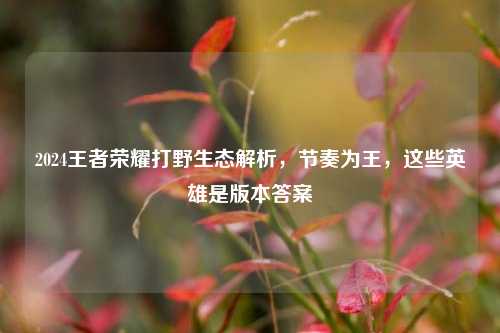 2024王者荣耀打野生态解析,节奏为王,这些英雄是版本答案