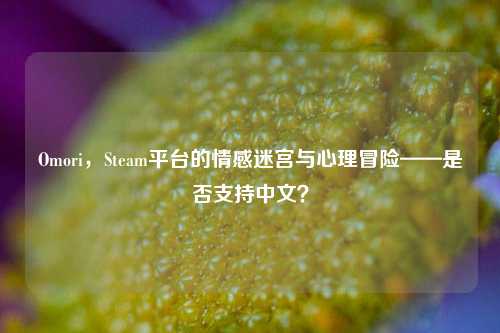 Omori,Steam平台的情感迷宫与心理冒险——是否支持中文?