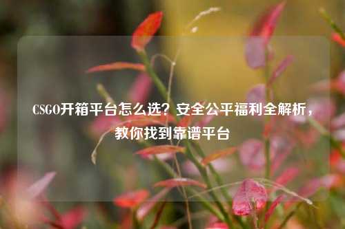CSGO开箱平台怎么选?安全公平福利全解析,教你找到靠谱平台