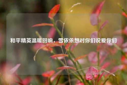 和平精英温暖回响,雪依依想对你们说爱你们