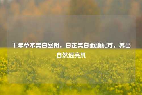 千年草本美白密钥,白芷美白面膜配方,养出自然透亮肌