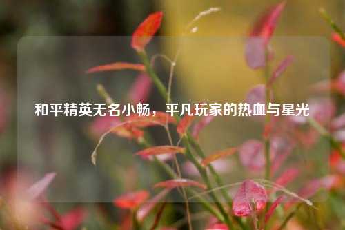 和平精英无名小畅,平凡玩家的热血与星光