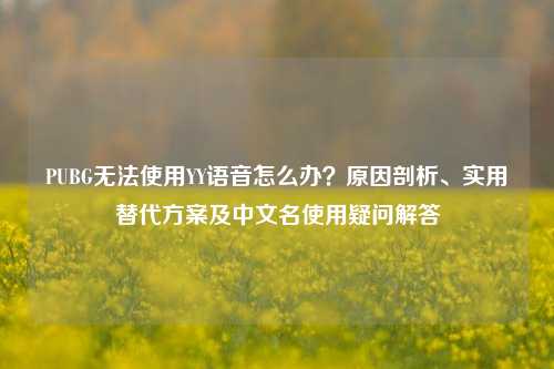 PUBG无法使用YY语音怎么办?原因剖析、实用替代方案及中文名使用疑问解答