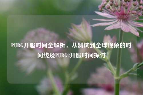 PUBG开服时间全解析,从测试到全球现象的时间线及PUBG2开服时间探讨